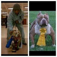 BullyBoyz ForLife UPtown