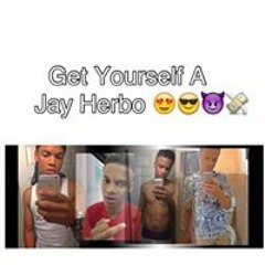 Jay Herbo