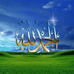 Mahmoud M. Abu Faddan