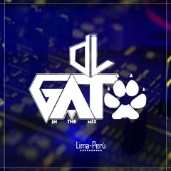 DjGato Inthe Mix ✔
