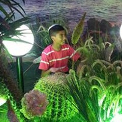 אלמוג רוהקר