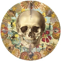 Deadera