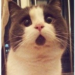 Андрей Безотечество