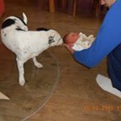 Martin-Antonia Kühmstedt