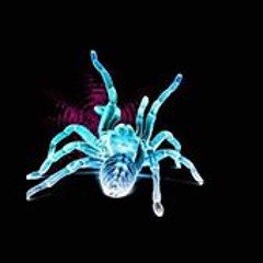 Jobelinda Gomez Pantoja