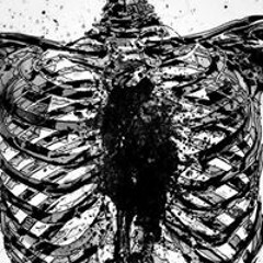 David Leonardo Navarrete