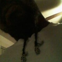 W.B.U.D. presents... Isa