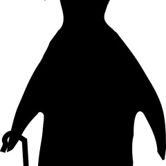 Unknown Penguin