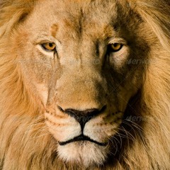 Leo The Lion