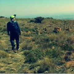 Larry Tshego Arendse