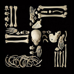 BONE