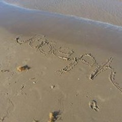 Octavia Clash Joseph