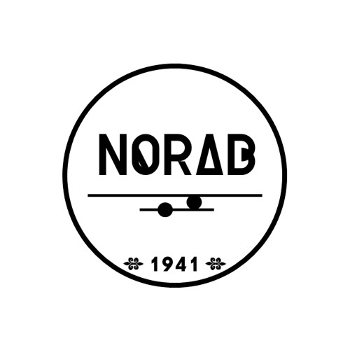 NORVB’s avatar
