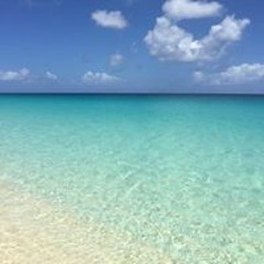 Nihon L V Houwelingen