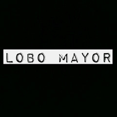 Lobo Mayor