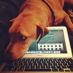 Stranger to the System