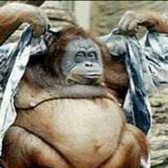 Harry Inong Damiryansyah