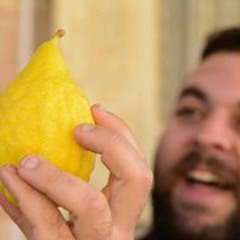 חיים רוטשטיין