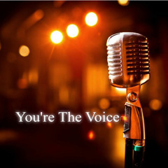 You're the Voice