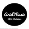Ariel Music Reposts