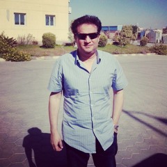 ehab gafary