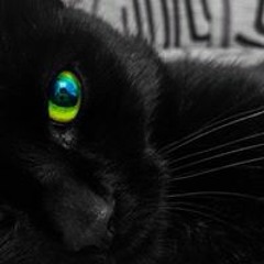 จักรกฤษณ์ ชลองฤทธิ์