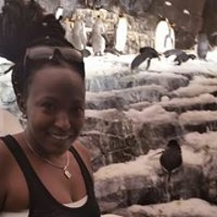 Carilla Mestres-Junque