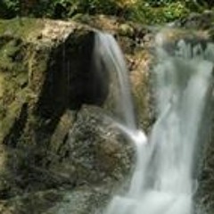 Sébastien Remigereau