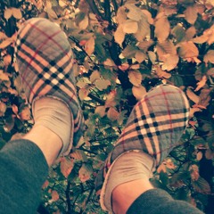 Brieuc Vanden Bemden