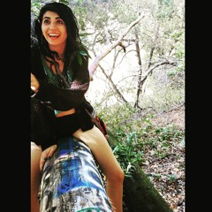 hippieflipping