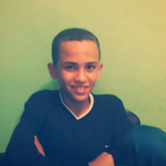 zeyad napil