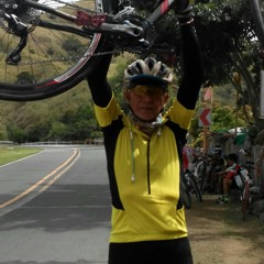 rex.colminas
