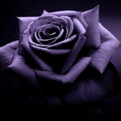 User 440493206