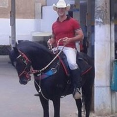 Henrique Tozzi