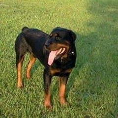 Myderia Haywood-Gordon