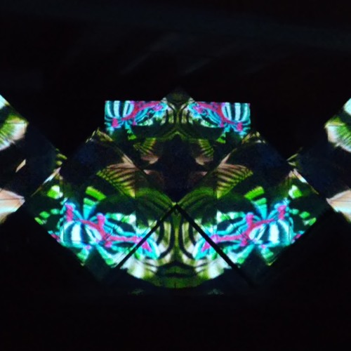 Opening set for Minnesota at the Tangent Gallery