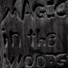 Magic in the Woods