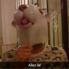 BeuBeuBeu