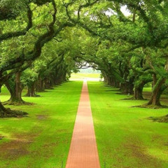 ‫موسى البلوي‬‎