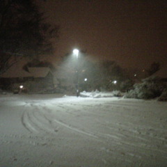 brownhippieandtheslyfox