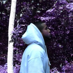 Ziggy Del Fresco/Z.I.G