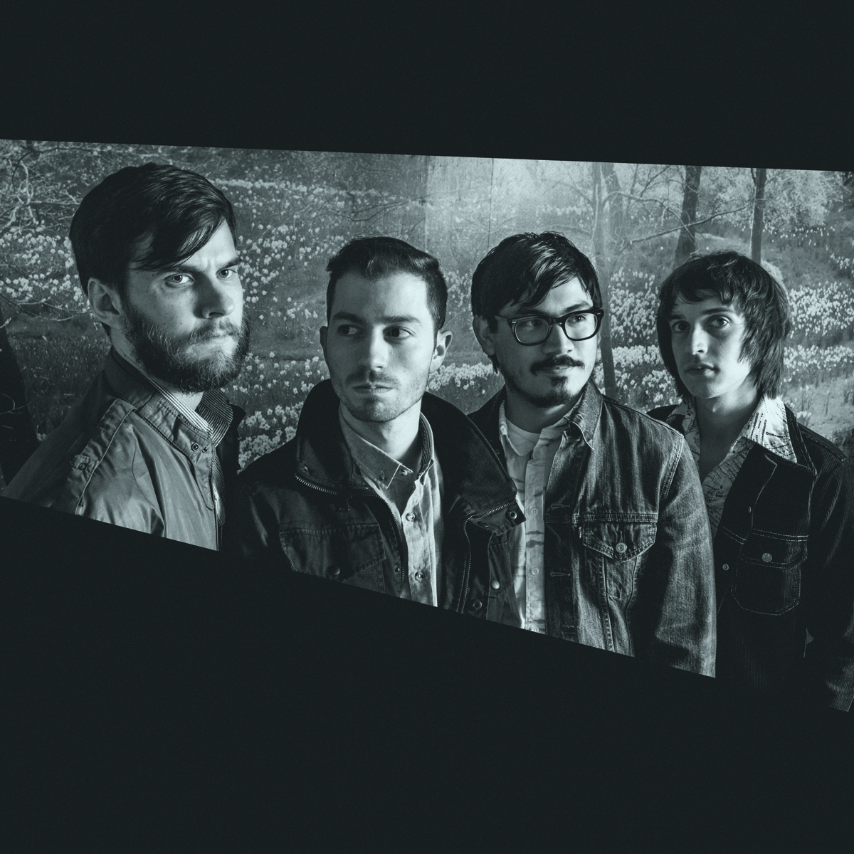 Champagne Leader cover art