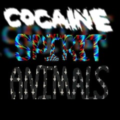 Cocaine Spirit Animals