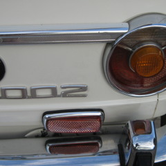 Gray B 1