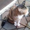 TeddyMeow