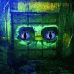 Documentaries of the Dead