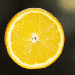 김상겸