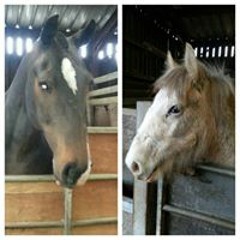 Kate-iswangchangybang