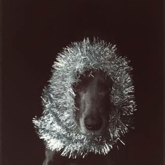 Les paradis artificiels