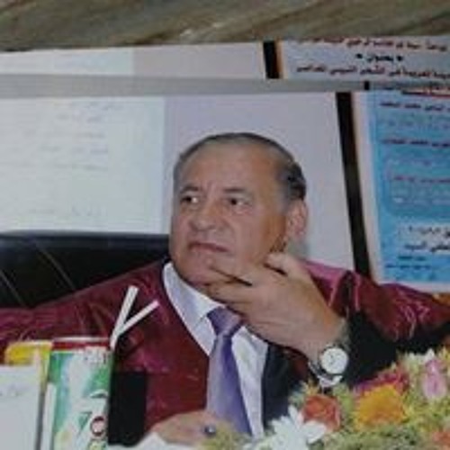 Abd El Naser Mohammed’s avatar